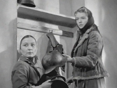 Освобождённая земля