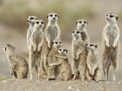 Природные семейные узы