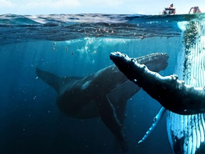 Земля без суши