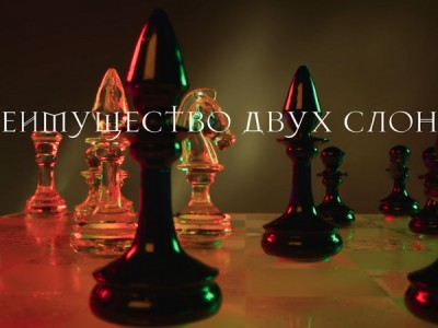 Преимущество двух слонов