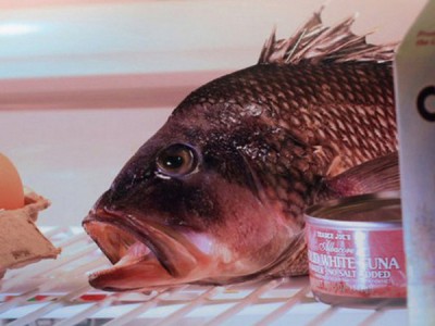 Слеза украдкой