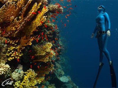 Человек, который может не дышать (2)