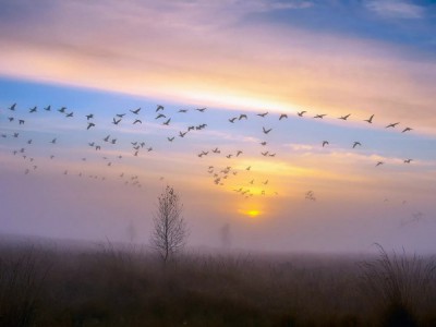 Путешествие на Кавказ. За среднекавказским туром