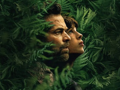 Королевство зверей