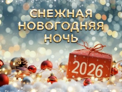Снежная новогодняя ночь-2026