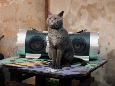 Школа магических зверей. Загадка волшебного леса