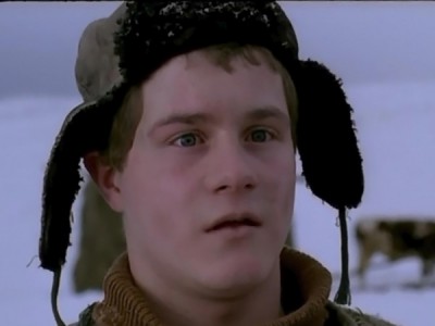 В созвездии быка