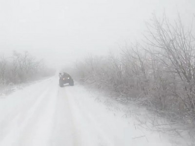 Якутские Барсы