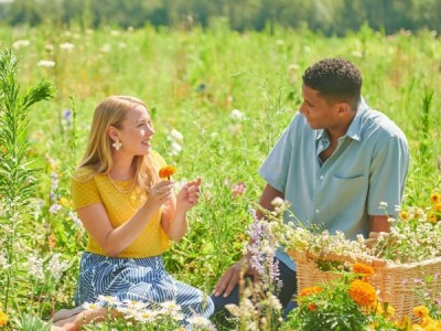 Поцелуй повара