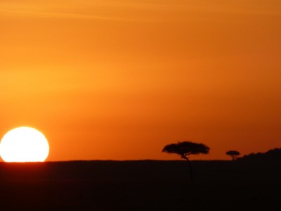 Возрождение Саванны