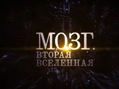 Мозг. Вторая Вселенная