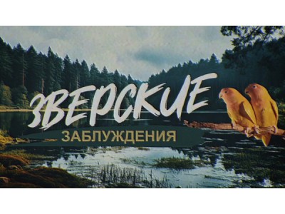 Зверские заблуждения