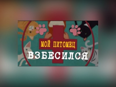 Мой питомец взбесился