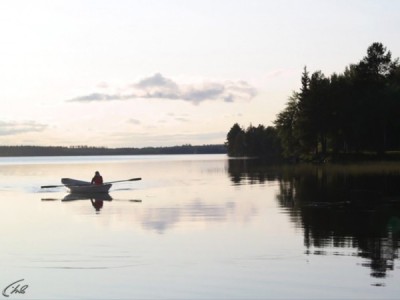 Экстремальный фидер
