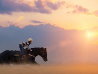 В погоне за ветром