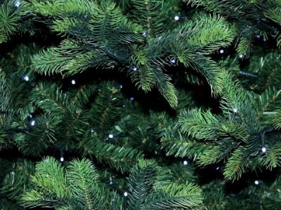 Новогоднее поздравление Председателя ЦК КПРФ Геннадия Зюганова