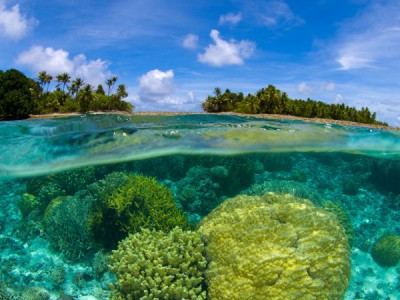 Островные истории