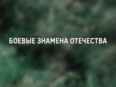 Боевые знамена