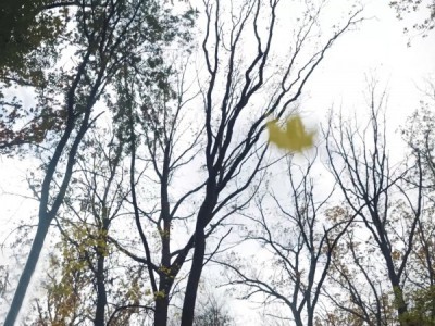 Я приближаю победу