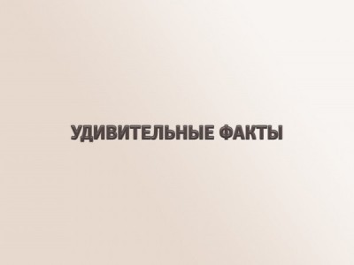 Удивительные факты