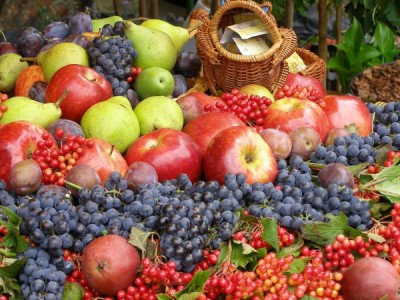 История усадеб