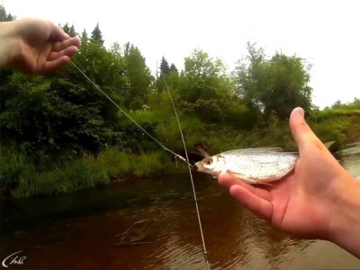 Рыбалка на малых реках Удмуртии