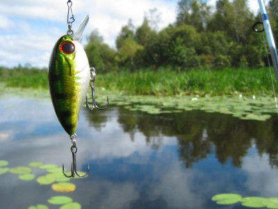 Погнали ловить!