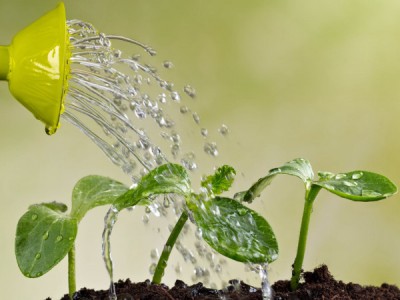 Весенние работы с Мариной Рыкалиной