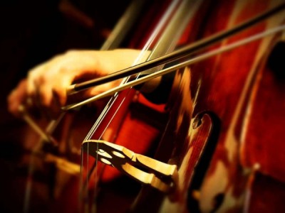 Парижский концерт