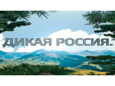 Дикая Россия. Страна, которой вы не видели