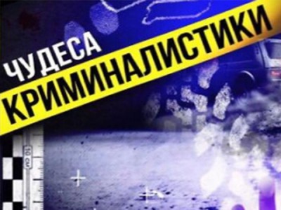 Чудеса криминалистики