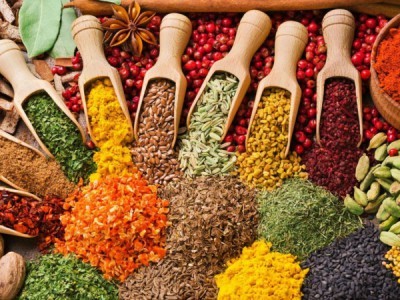 Дорога специй