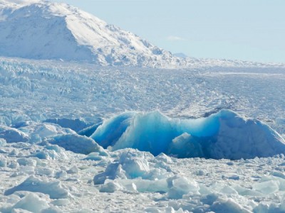 Чистая Арктика