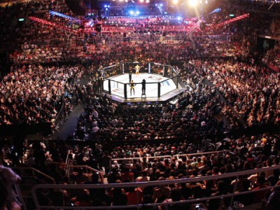 Смешанные единоборства. AMC Fight Nights 45