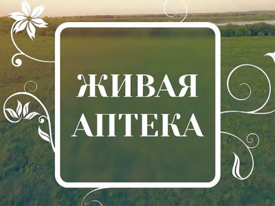 Живая аптека
