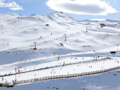 Снежная команда