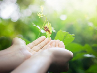 Осторожно, хрупкое. Пруды Ла Бренн