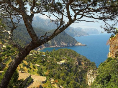 Дикая природа Испании