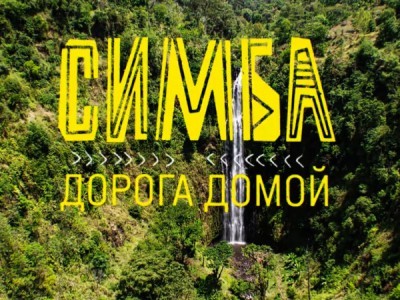 Симба: Дорога домой