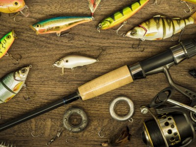 Народный проект. Алтай