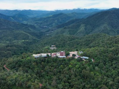 Ориентиры Китая — пуэр с ароматом времени