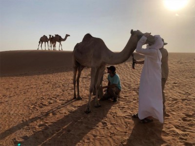 Магия ветра и песка