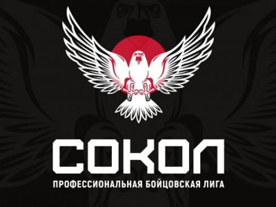 Смешанные единоборства. Профессиональная бойцовская лига Сокол. Трансляция из Москвы