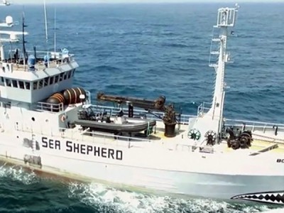 Морской дозор