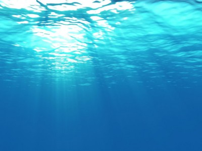 Загадки океана