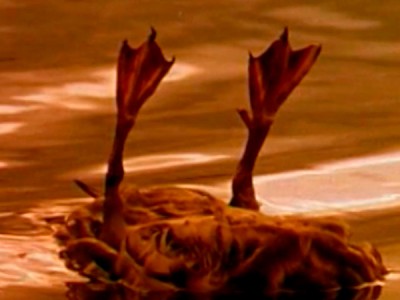 Однажды вечером