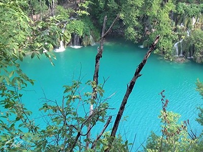 Вода — основа жизни