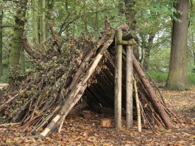 Наука выживания