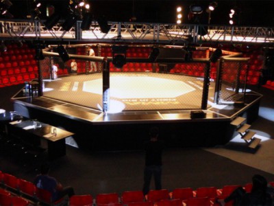 Смешанные единоборства. AMC Fight Nights 53