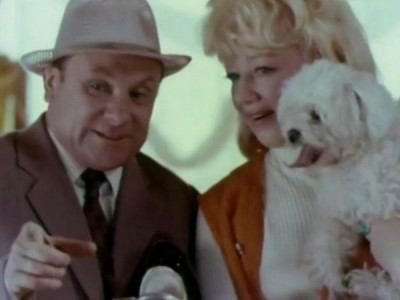 13 поручений